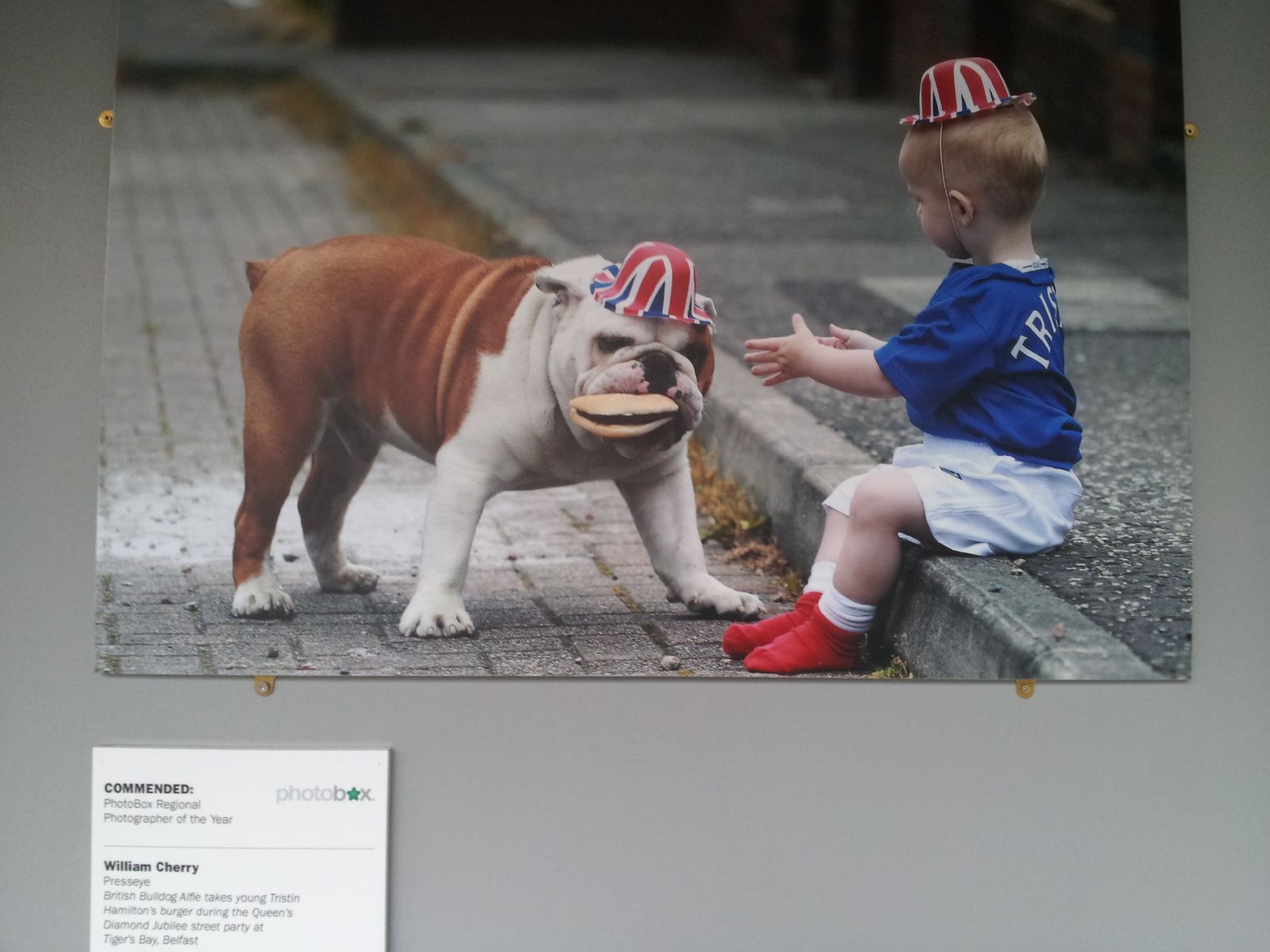 The Picture Editors' Guild Winners Part1